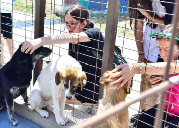 İzmirliler PAKOFEST’te patili dostlarla buluştu