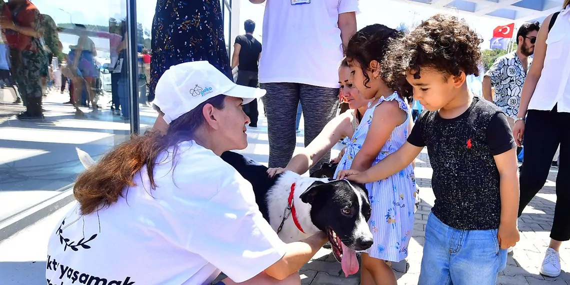 Izmirliler pakofestte patili dostlarla bulustur - yerel haberler, i̇zmir haberleri - haberton