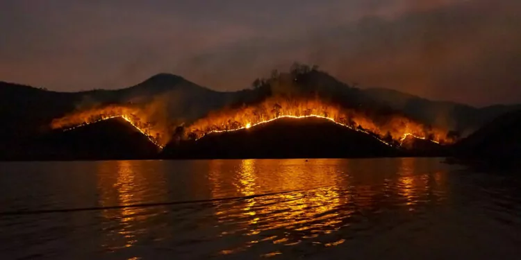 Kanada'daki orman yangınları, abd’de hava kalitesini düşürdü