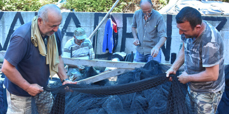 Karadeniz'de balıkçıların ağ mesaisi başladı