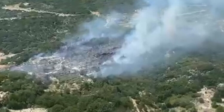 Kaş'ta orman yangını; 1 saatte söndürüldü