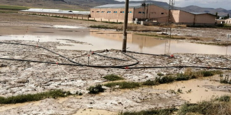 Kayseri'de sağanak; tarım arazileri zarar gördü