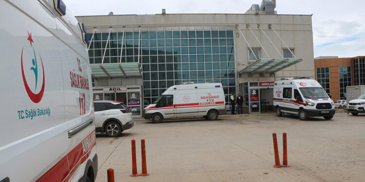 Kestiği kavak ağacının çarptığı keresteci, öldü