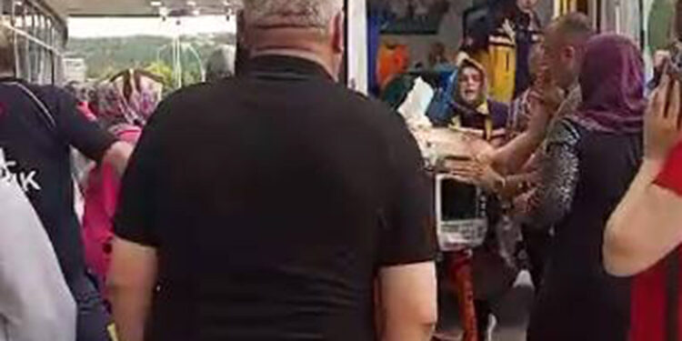 Kooperatif bekçisi, ağaçtan erik toplayan kişiyi vurdu