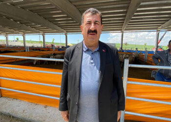 Kurban bağışında 'sahte dernek' uyarısı