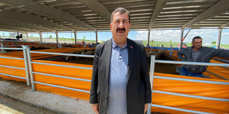 Kurban bağışında 'sahte dernek' uyarısı