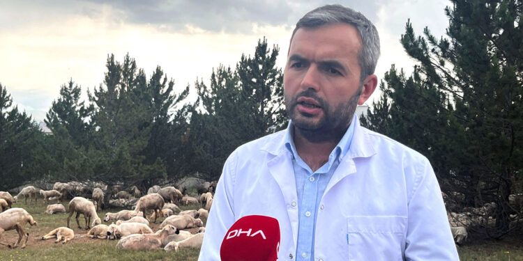 Kurbanlıklar için antibiyotik uyarısı