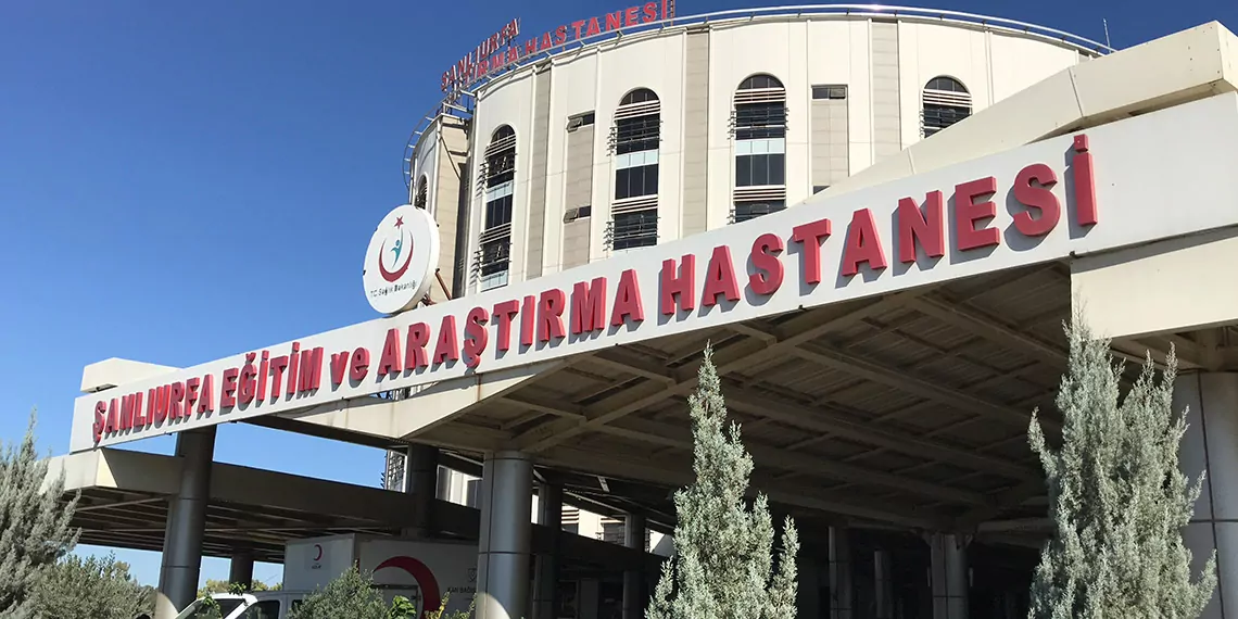 Maganda kursunuyla yaralanan kubranin yasam savasiw - öne çıkan - haberton