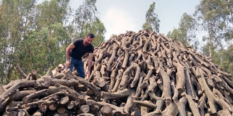 Mangal kömürü işçilerinin sıcak mesaisi