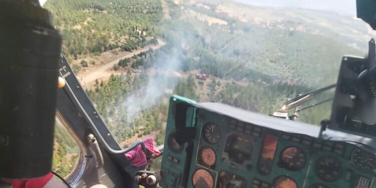 Manisa Soma'da orman yangını