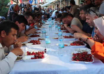 Manisa'da 'Uluderbent Kiraz Festivali'
