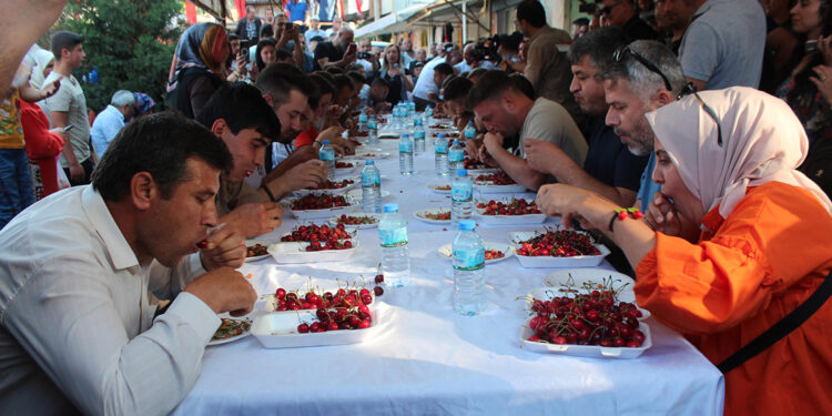 Manisa'da 'Uluderbent Kiraz Festivali'