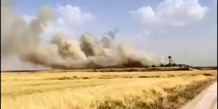 Mardin'de arazide çıkan yangın söndürüldü