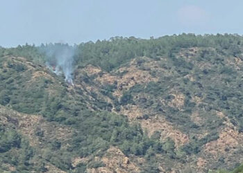 Marmaris'te çıkan orman yangını söndürüldü