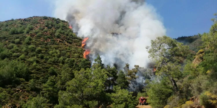 Marmaris'te orman yangını çıktı