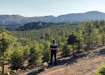 Muğla'da bazı bölgelerde ormanlara giriş yasaklandı