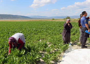 Omzuna yorgun mermi isabet eden Sinem yaralandı