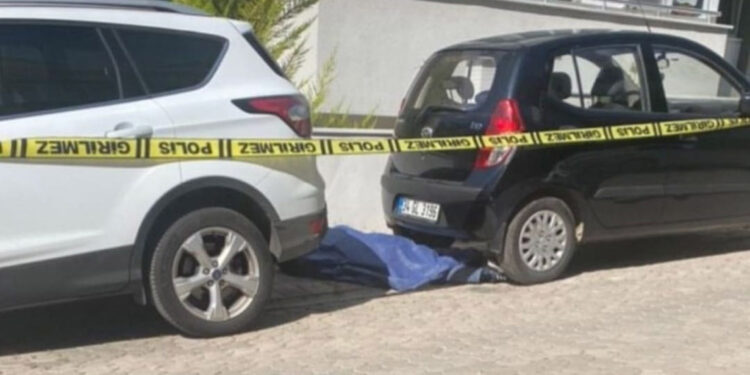 Onur, yol kenarında ölü bulundu; sevgilisi gözaltında