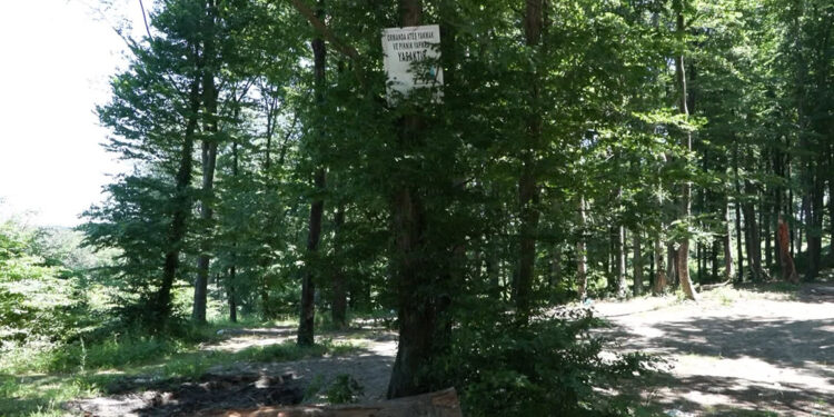 Ormanlara giriş yasağında ilk gün 