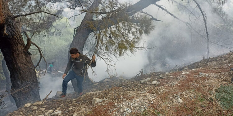 Osmaniye'de ormanlara giriş çıkışlar yasaklandı