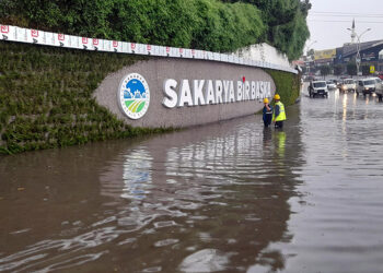 Sakarya'da sağanak hayatı olumsuz etkiledi
