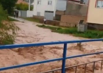 Samankaya Köyü'nde dere taştı; evleri su bastı
