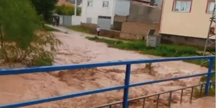 Samankaya Köyü'nde dere taştı; evleri su bastı