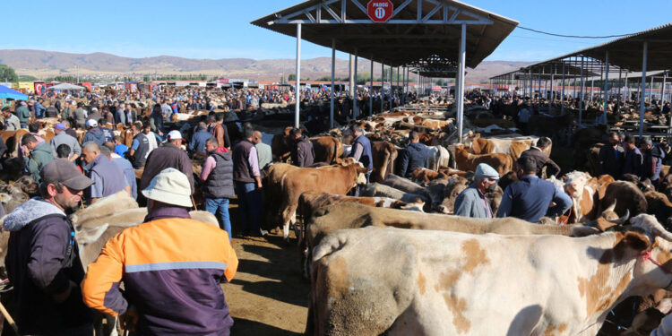 Sivas'ta bu yıl kurban pazarı açılmayacak