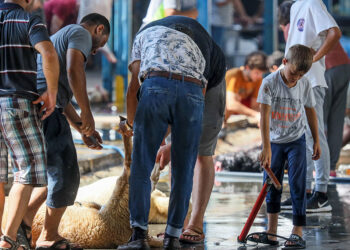 Sokakta kurban kesimine 3 bin 36 lira ceza verilecek
