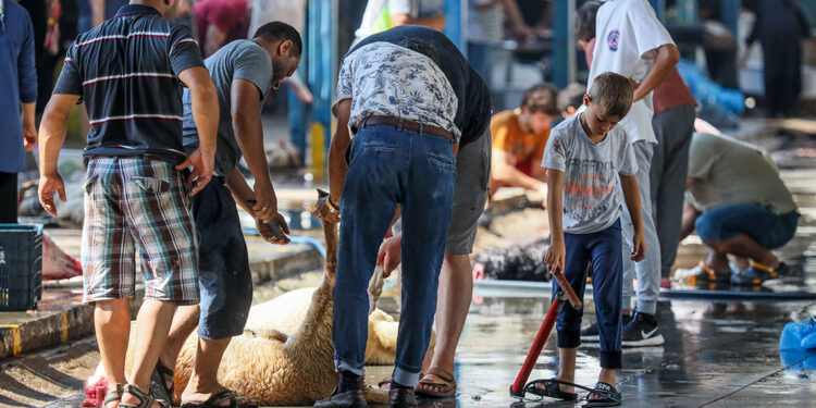 Sokakta kurban kesimine 3 bin 36 lira ceza verilecek