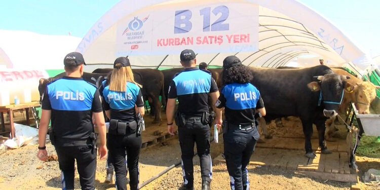 Sultangazi'de kurban pazarında 'sahte para' uyarısı