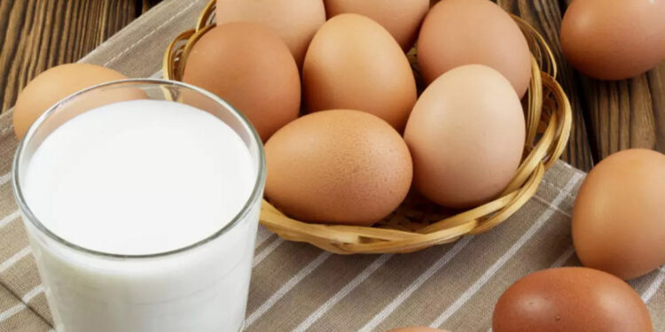 TÜİK: Nisanda yumurta ve içme sütü üretimi arttı