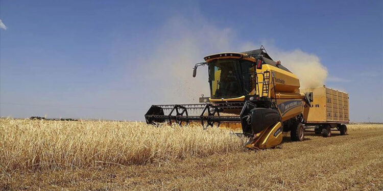 TÜİK: Tarımsal girdi fiyat endeksi nisanda arttı