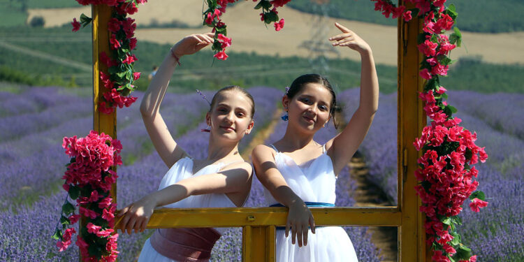 Tekirdağ'da mor renkli tarlada 'lavanta şenliği' düzenlendi