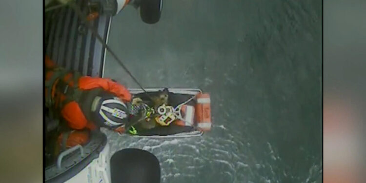 Uçurumdan düşerek yaralanan köpek kurtarıldı