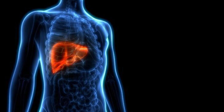 Uzmanı karaciğer yağlanmasında risk faktörlerini açıkladı