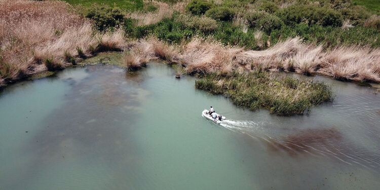Van Gölü'ndeki inci kefali stoku 50 bin tona çıktı
