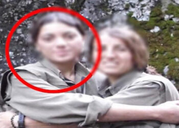 Yeşil Sol Partili Ayten Dönmez'e 15 yıla kadar hapsi istemi
