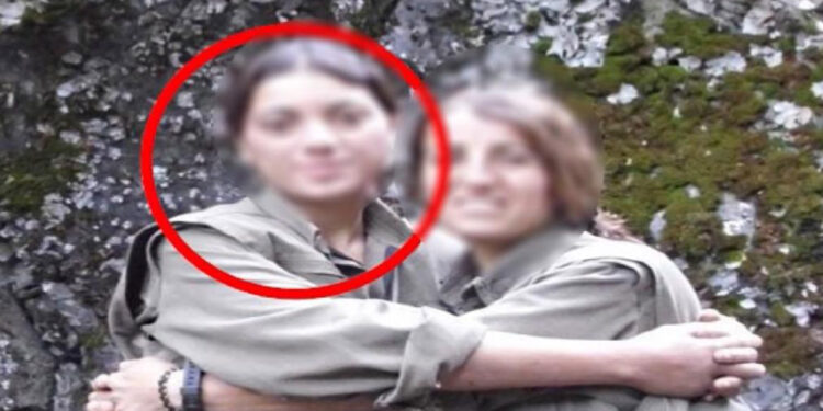 Yeşil Sol Partili Ayten Dönmez'e 15 yıla kadar hapsi istemi