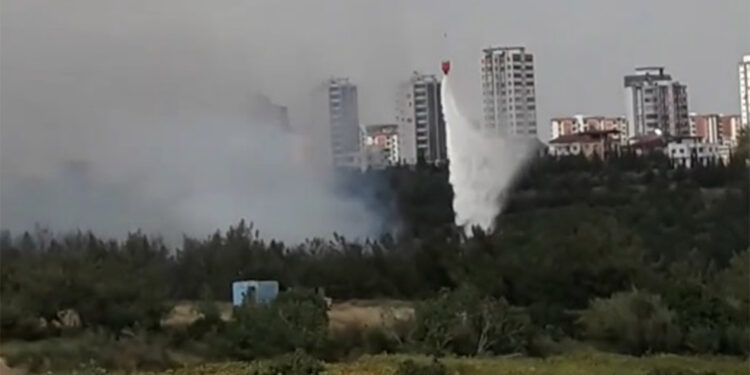 Anız yangınında alevler ormana sıçradı