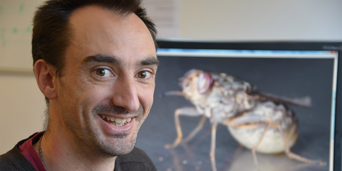 Isıran sinekler mavi rengi seviyor