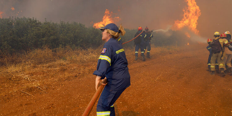 Avrupa Birliği Kanada'daki orman yangınları için itfaiyeci gönderiyor
