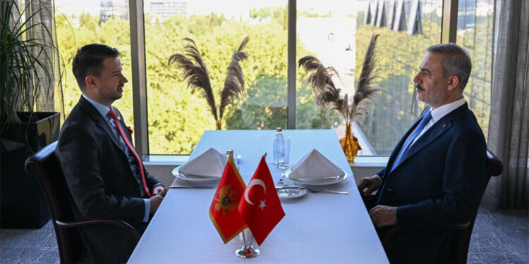 Bakan Fidan Karadağ Cumhurbaşkanı ile bir araya geldi