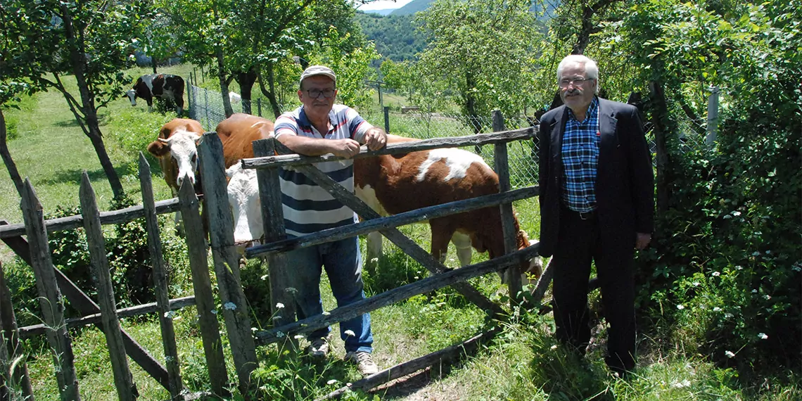 4 köy ve beldede şap karantinası