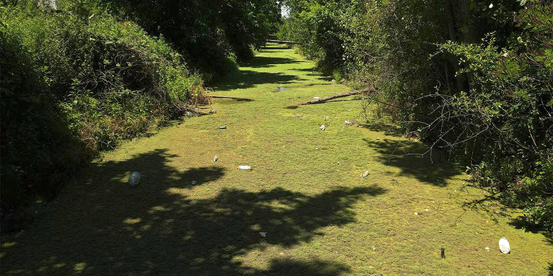 Bayır Deresi kirlilikten yeşile büründü
