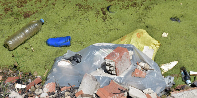 Bayır Deresi kirlilikten yeşile büründü