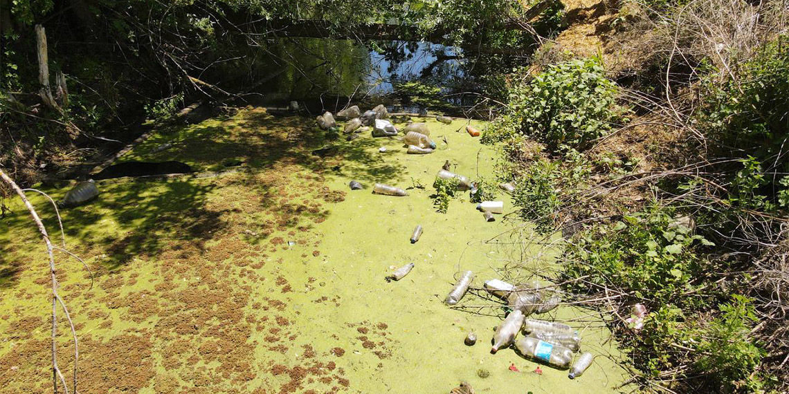 Edirne'de Tunca Nehri'nin kollarından olan, Bayır Deresi kirlilik nedeniyle yine yeşile büründü.