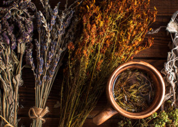 Hastalıklarla bitkisel mücadele