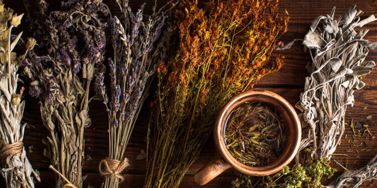 Hastalıklarla bitkisel mücadele