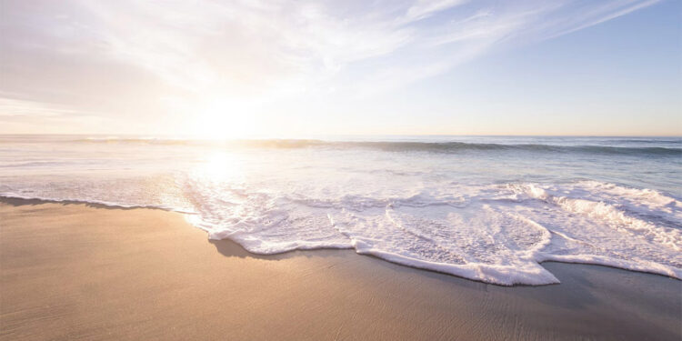 Okyanuslarda biyoçeşitliliğin korunması için tarihi anlaşma